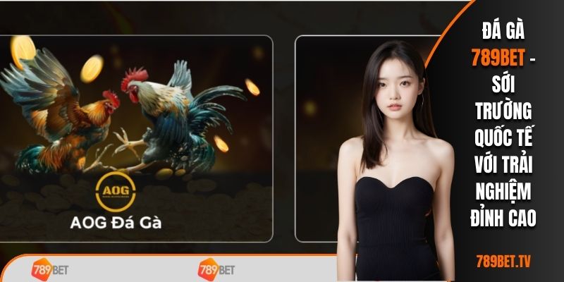 Khám phá chuyên mục đá gà 789bet