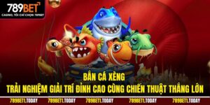Bắn Cá Xèng – Trải Nghiệm Giải Trí Đỉnh Cao Cùng Chiến Thuật Thắng Lớn