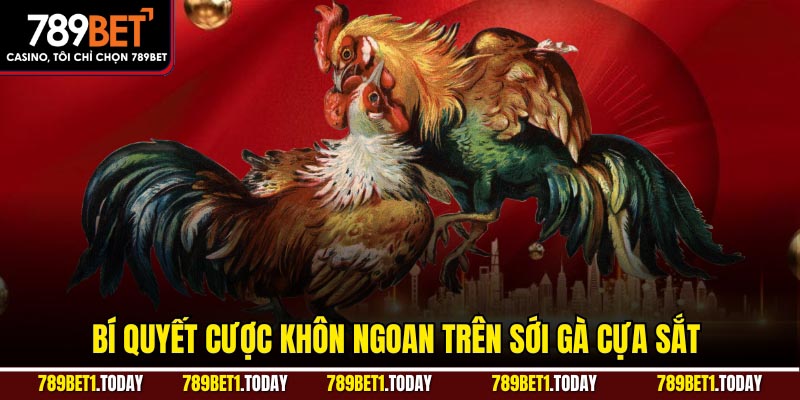 Bí quyết cược khôn ngoan trên sới gà cựa sắt