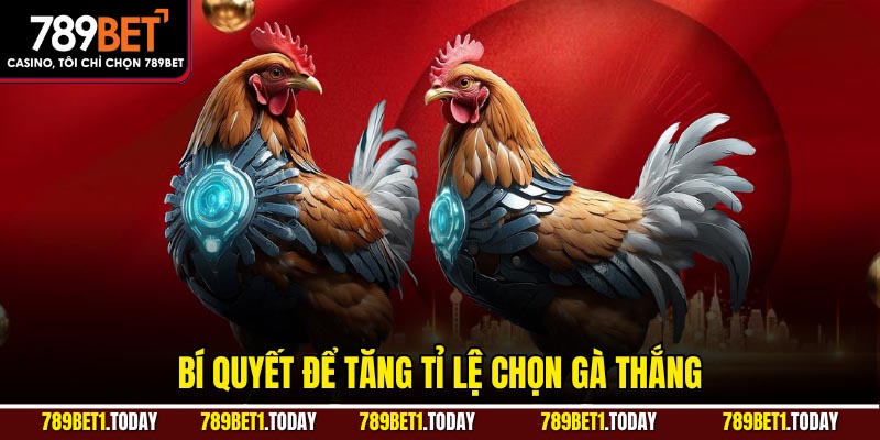 Bí quyết để tăng tỉ lệ chọn gà thắng