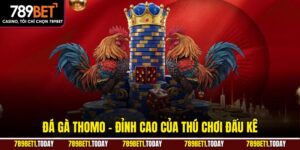 Đá Gà Thomo – Đỉnh Cao Của Thú Chơi Đấu Kê