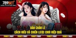 Dàn Chẵn Lẻ – Cách Hiểu Và Chiến Lược Chơi Hiệu Quả