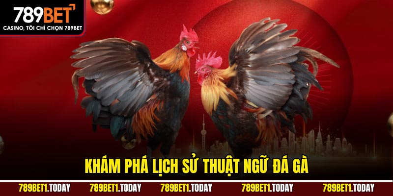 Khám phá lịch sử thuật ngữ đá gà