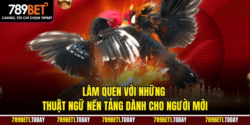 Làm quen với những thuật ngữ nền tảng dành cho người mới