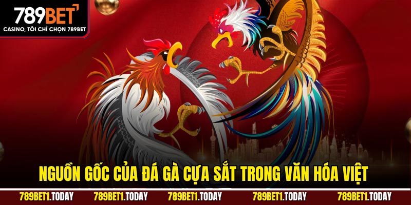 Nguồn gốc của đá gà cựa sắt trong văn hóa Việt