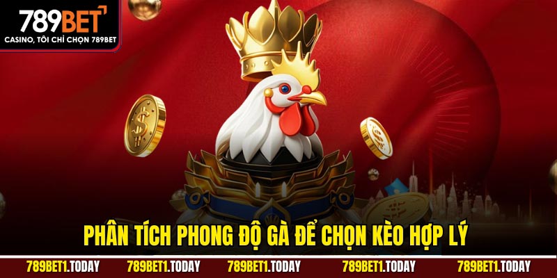 Phân tích phong độ gà để chọn kèo hợp lý