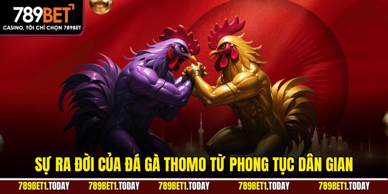 Sự ra đời của đá gà Thomo từ phong tục dân gian