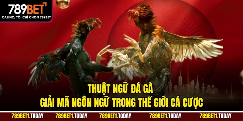 Thuật ngữ đá gà về kỹ thuật và chiến kê